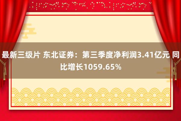 最新三级片 东北证券：第三季度净利润3.41亿元 同比增长1059.65%