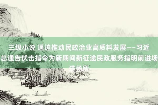 三级小说 逼迫推动民政治业高质料发展——习近平总通告伏击指令为新期间新征途民政服务指明前进场所