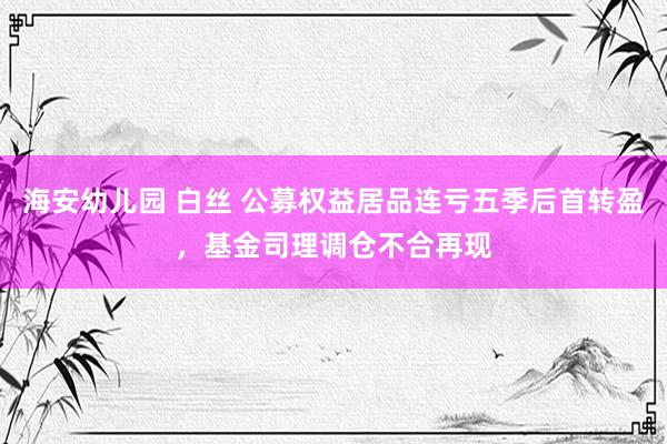 海安幼儿园 白丝 公募权益居品连亏五季后首转盈，基金司理调仓不合再现