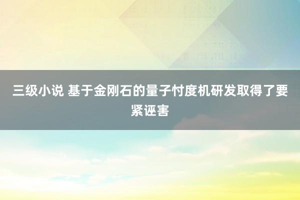 三级小说 基于金刚石的量子忖度机研发取得了要紧诬害