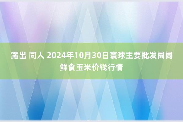 露出 同人 2024年10月30日寰球主要批发阛阓鲜食玉米价钱行情