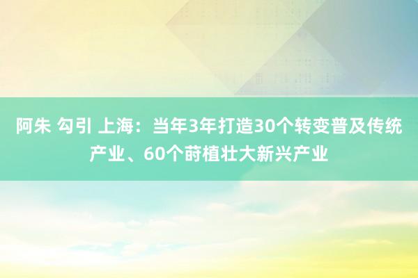 阿朱 勾引 上海：当年3年打造30个转变普及传统产业、60个莳植壮大新兴产业