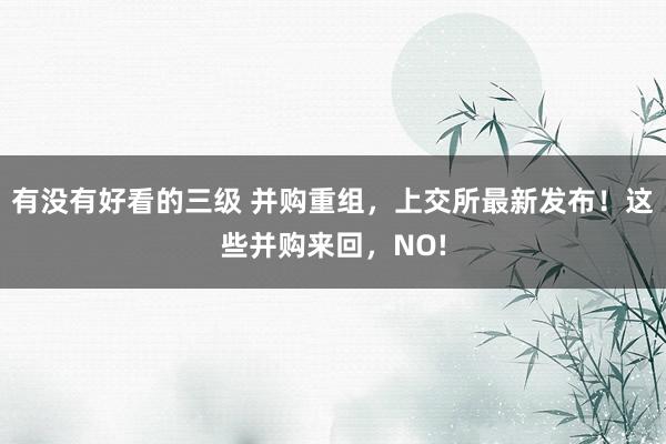 有没有好看的三级 并购重组，上交所最新发布！这些并购来回，NO!