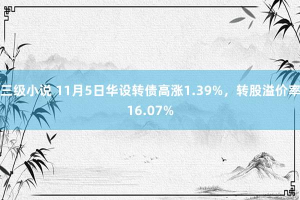 三级小说 11月5日华设转债高涨1.39%，转股溢价率16.07%