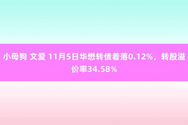 小母狗 文爱 11月5日华懋转债着落0.12%，转股溢价率34.58%