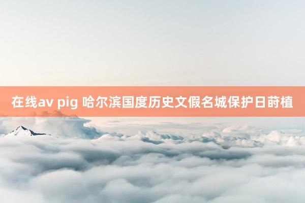 在线av pig 哈尔滨国度历史文假名城保护日莳植