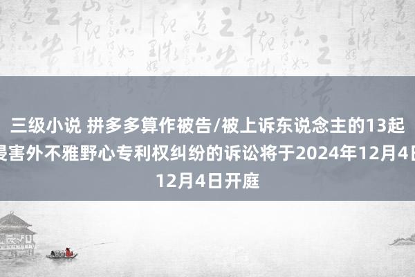 三级小说 拼多多算作被告/被上诉东说念主的13起波及侵害外不雅野心专利权纠纷的诉讼将于2024年12月4日开庭