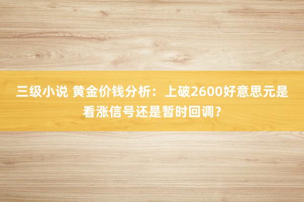 三级小说 黄金价钱分析：上破2600好意思元是看涨信号还是暂时回调？