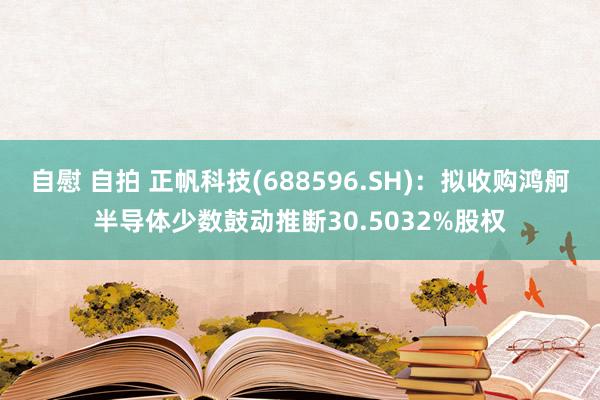 自慰 自拍 正帆科技(688596.SH)：拟收购鸿舸半导体少数鼓动推断30.5032%股权