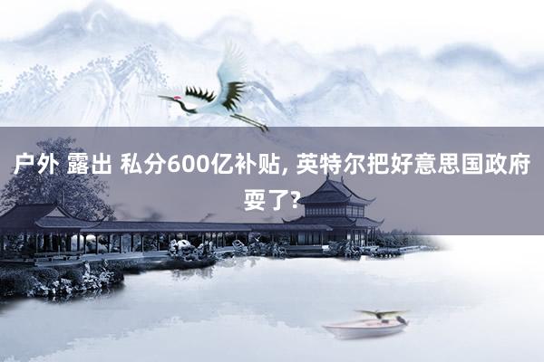 户外 露出 私分600亿补贴， 英特尔把好意思国政府耍了?