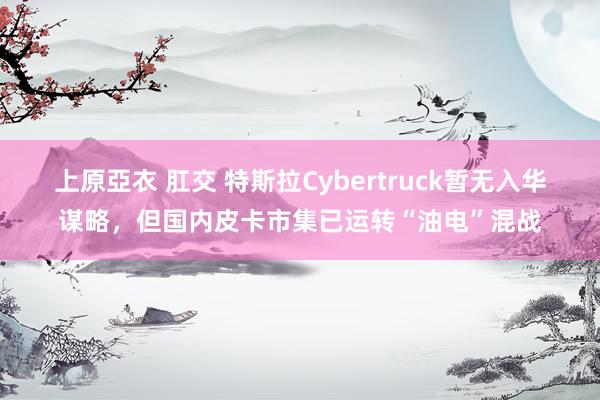 上原亞衣 肛交 特斯拉Cybertruck暂无入华谋略，但国内皮卡市集已运转“油电”混战