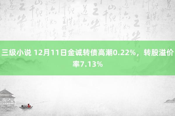 三级小说 12月11日金诚转债高潮0.22%，转股溢价率7.13%