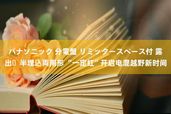 パナソニック 分電盤 リミッタースペース付 露出・半埋込両用形 “一定红”开启电混越野新时间