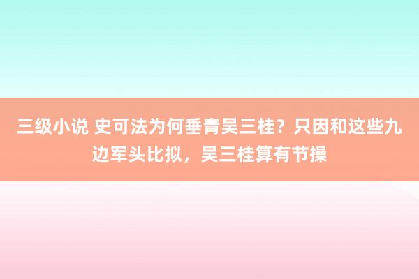 三级小说 史可法为何垂青吴三桂？只因和这些九边军头比拟，吴三桂算有节操