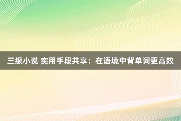 三级小说 实用手段共享：在语境中背单词更高效