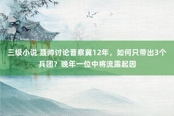 三级小说 聂帅讨论晋察冀12年，如何只带出3个兵团？晚年一位中将流露起因