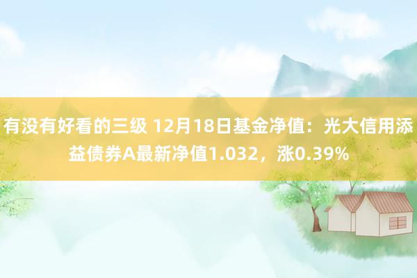 有没有好看的三级 12月18日基金净值：光大信用添益债券A最新净值1.032，涨0.39%