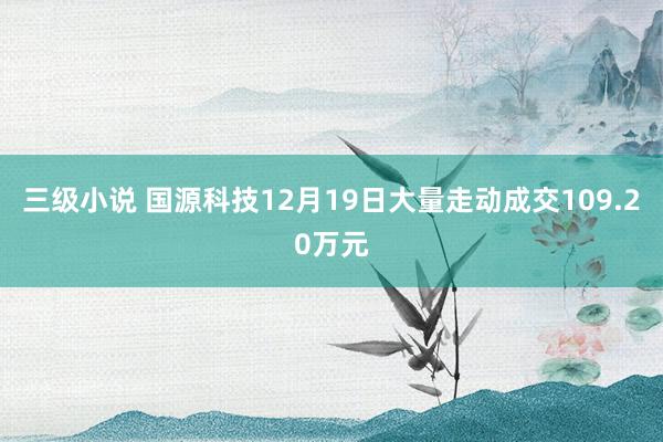 三级小说 国源科技12月19日大量走动成交109.20万元