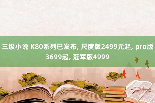 三级小说 K80系列已发布， 尺度版2499元起， pro版3699起， 冠军版4999