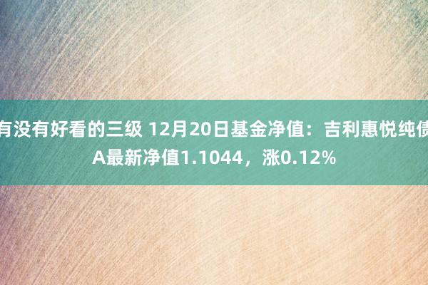 有没有好看的三级 12月20日基金净值：吉利惠悦纯债A最新净值1.1044，涨0.12%