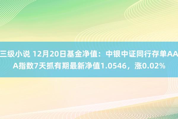 三级小说 12月20日基金净值：中银中证同行存单AAA指数7天抓有期最新净值1.0546，涨0.02%