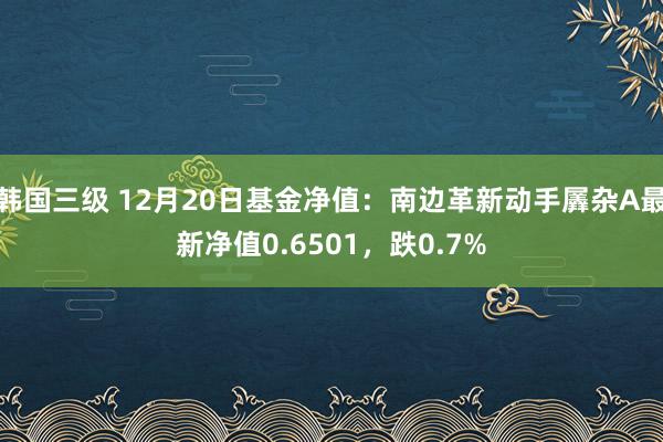 韩国三级 12月20日基金净值：南边革新动手羼杂A最新净值0.6501，跌0.7%