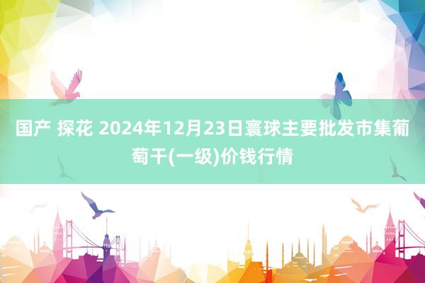 国产 探花 2024年12月23日寰球主要批发市集葡萄干(一级)价钱行情