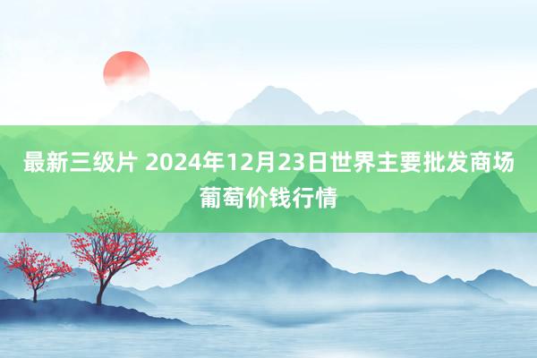 最新三级片 2024年12月23日世界主要批发商场葡萄价钱行情