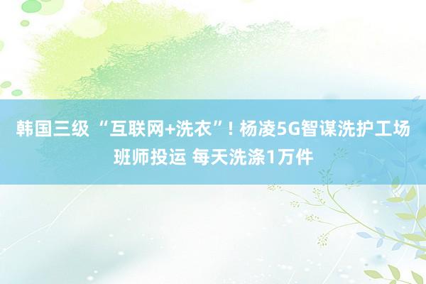 韩国三级 “互联网+洗衣”! 杨凌5G智谋洗护工场班师投运 每天洗涤1万件