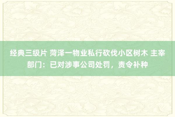 经典三级片 菏泽一物业私行砍伐小区树木 主宰部门：已对涉事公司处罚，责令补种