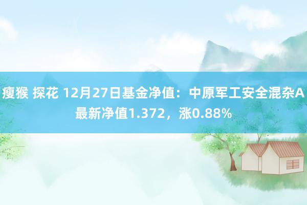 瘦猴 探花 12月27日基金净值：中原军工安全混杂A最新净值1.372，涨0.88%