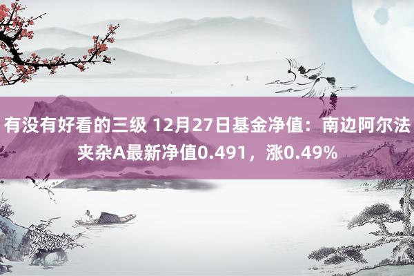 有没有好看的三级 12月27日基金净值：南边阿尔法夹杂A最新净值0.491，涨0.49%