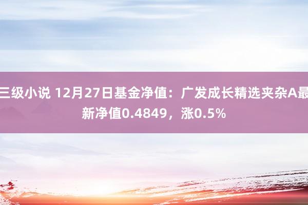 三级小说 12月27日基金净值：广发成长精选夹杂A最新净值0.4849，涨0.5%