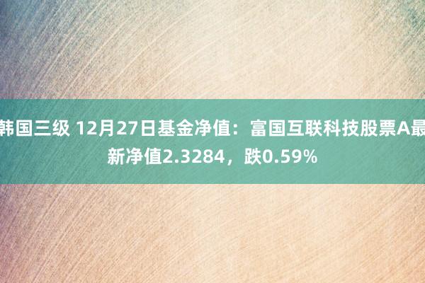 韩国三级 12月27日基金净值：富国互联科技股票A最新净值2.3284，跌0.59%