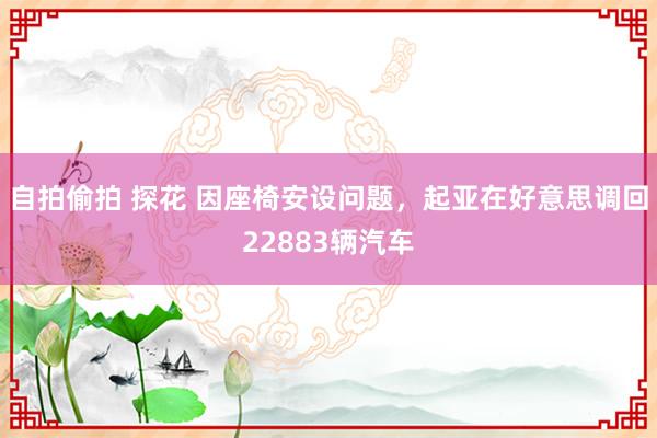 自拍偷拍 探花 因座椅安设问题，起亚在好意思调回22883辆汽车