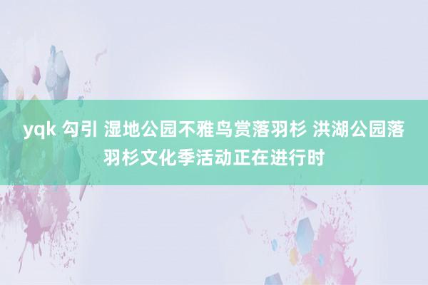 yqk 勾引 湿地公园不雅鸟赏落羽杉 洪湖公园落羽杉文化季活动正在进行时