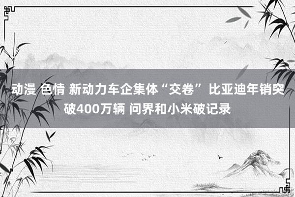 动漫 色情 新动力车企集体“交卷” 比亚迪年销突破400万辆 问界和小米破记录