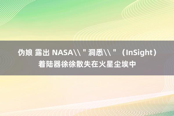 伪娘 露出 NASA\＂洞悉\＂（InSight）着陆器徐徐散失在火星尘埃中