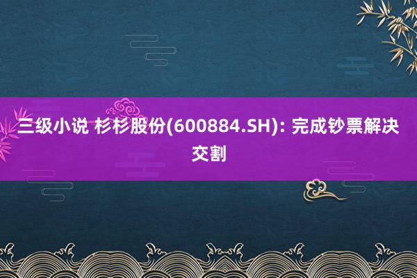 三级小说 杉杉股份(600884.SH): 完成钞票解决交割