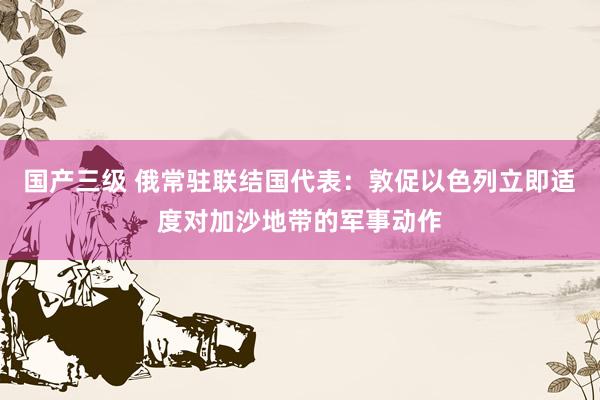 国产三级 俄常驻联结国代表：敦促以色列立即适度对加沙地带的军事动作