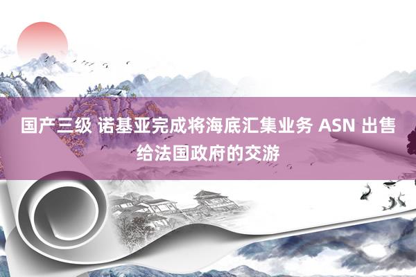 国产三级 诺基亚完成将海底汇集业务 ASN 出售给法国政府的交游