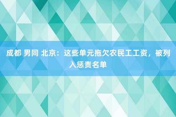 成都 男同 北京：这些单元拖欠农民工工资，被列入惩责名单