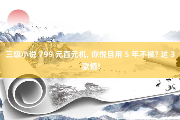 三级小说 799 元百元机， 你悦目用 5 年不换? 这 3 款值!