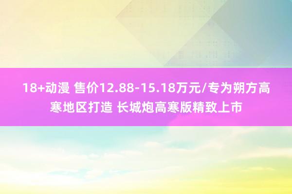 18+动漫 售价12.88-15.18万元/专为朔方高寒地区打造 长城炮高寒版精致上市