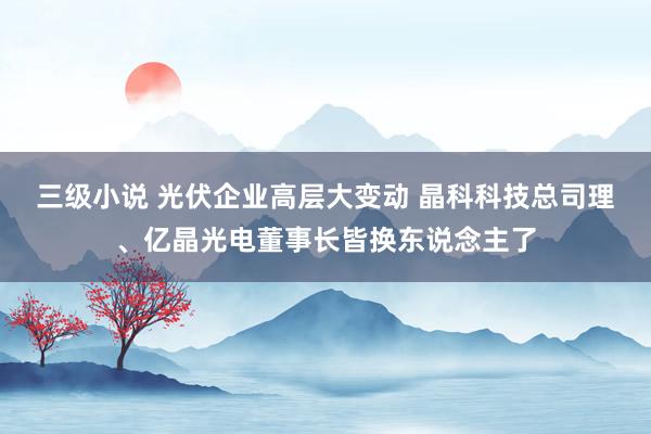 三级小说 光伏企业高层大变动 晶科科技总司理、亿晶光电董事长皆换东说念主了