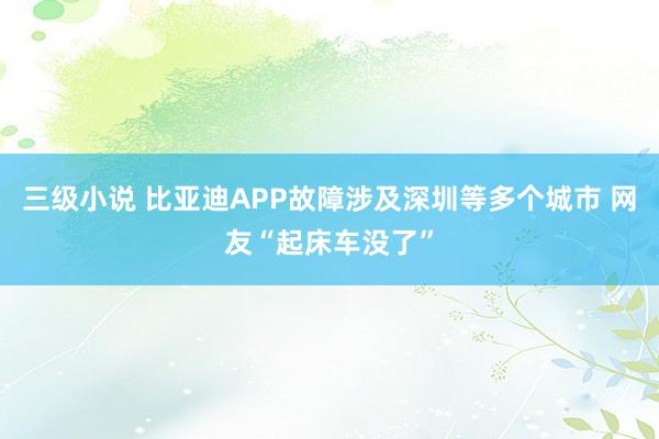 三级小说 比亚迪APP故障涉及深圳等多个城市 网友“起床车没了”