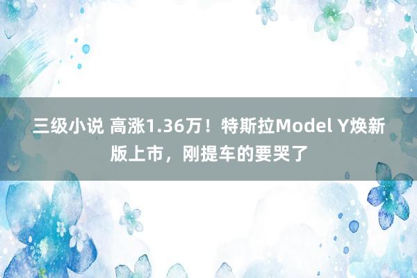 三级小说 高涨1.36万！特斯拉Model Y焕新版上市，刚提车的要哭了