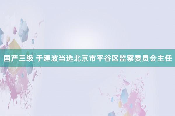 国产三级 于建波当选北京市平谷区监察委员会主任