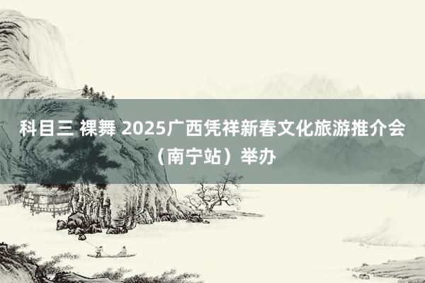 科目三 裸舞 2025广西凭祥新春文化旅游推介会（南宁站）举办