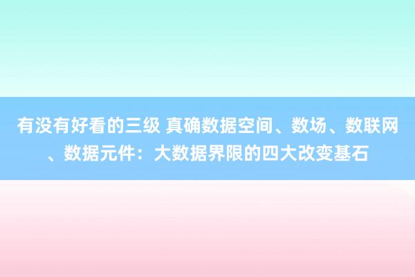 有没有好看的三级 真确数据空间、数场、数联网、数据元件：大数据界限的四大改变基石